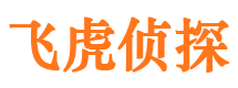 九龙坡市侦探调查公司